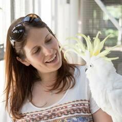 Jade Fountain Jade Fountain