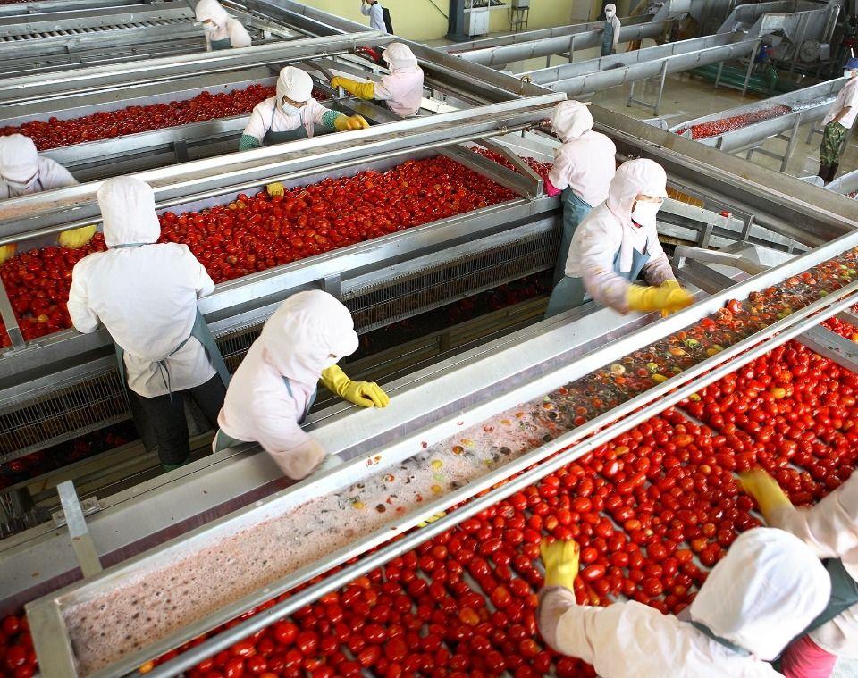 Azerbaijan's Tomato Exports Exceed 157 Million Dollars Amid Rising Non-Oil Trade Azerbaijan's Tomato Exports Exceed 157 Million Dollars Amid Rising Non-Oil Trade