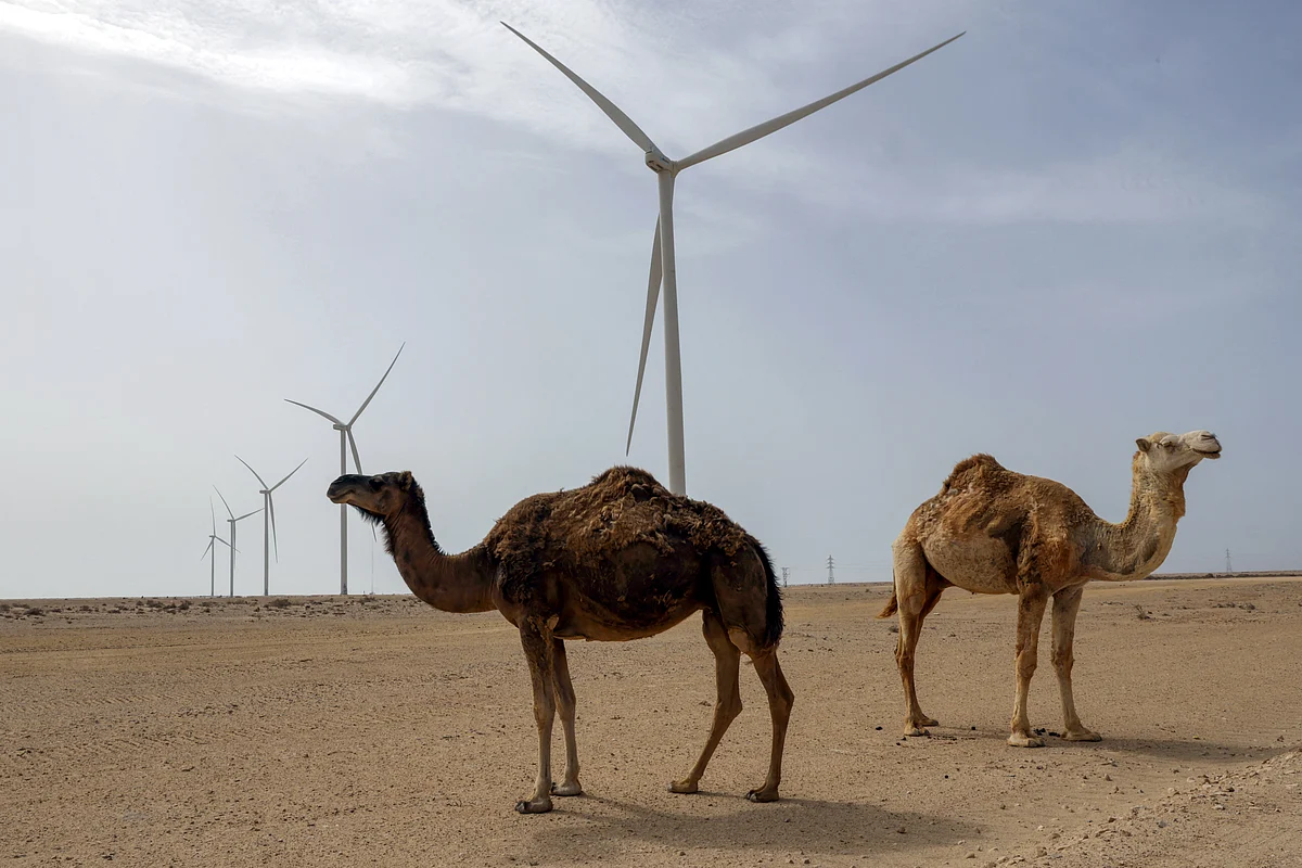 UN Security Council Backs Morocco's Plan For Western Sahara Autonomy  UN Security Council Backs Morocco's Plan For Western Sahara Autonomy