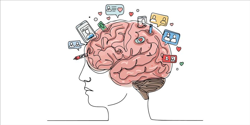 How Your Brain Keeps Falling For The Latest Beauty Fads  And What You Can Do About It Our brain’s perception of beauty can be re-trained.        bigbambe/ Shutterstock