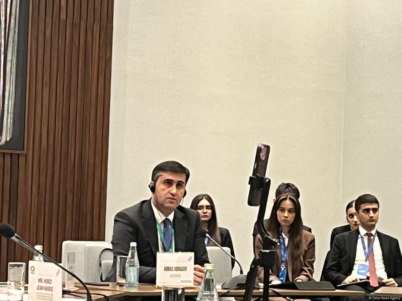 Baku Initiative Group Raises Awareness Of Belgian Colonialism-Caused Central African Pains Baku Initiative Group Raises Awareness Of Belgian Colonialism-Caused Central African Pains