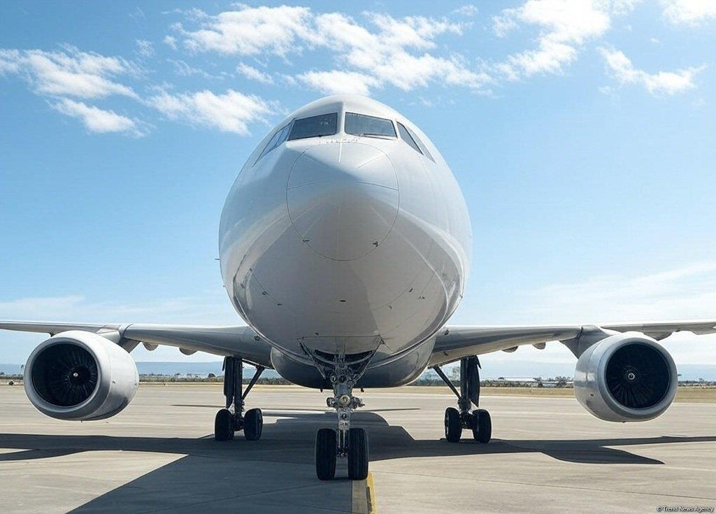 Iranian Skies Remain Clear For Flights, Civil Aviation Organization Says