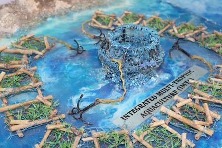 India Emerges As Key Growth Engine In Global Seaweed Economy