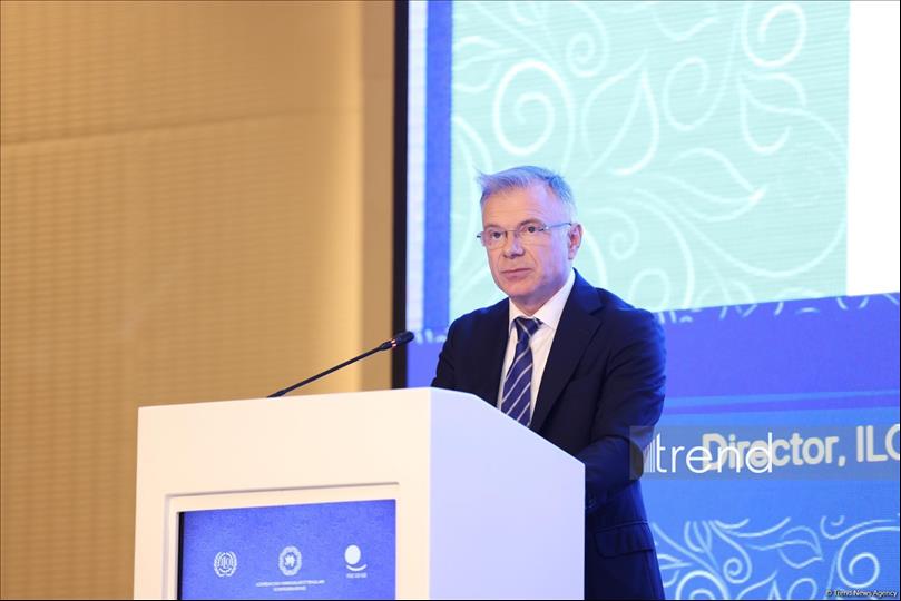 ILO Spotlights Azerbaijan's Labor Market Shifts And Digital Transformation (Exclusive)