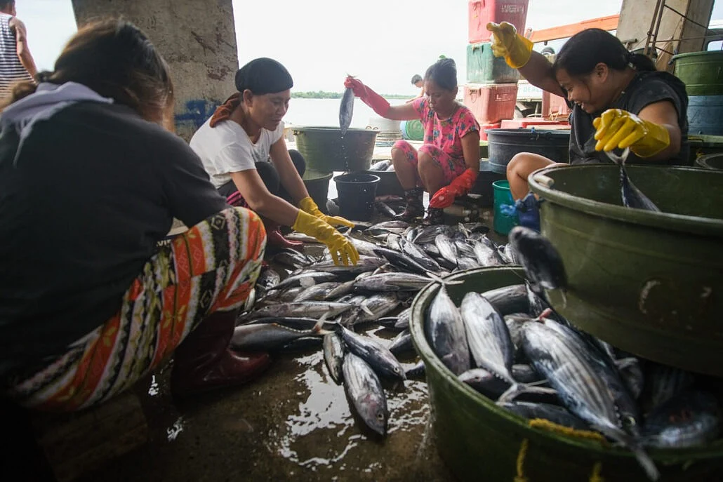 Overfishing In Philippines Wipes Out 45 Million Kilos Of Fish Annually, New Study Reveals