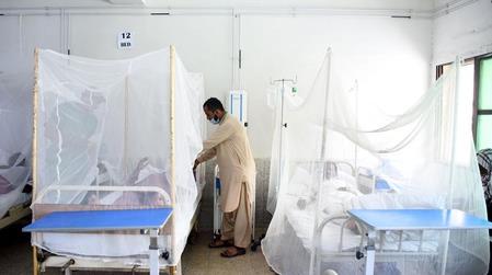 Report Reveals Historic Peak In Medical Migration From Pakistan In 2025