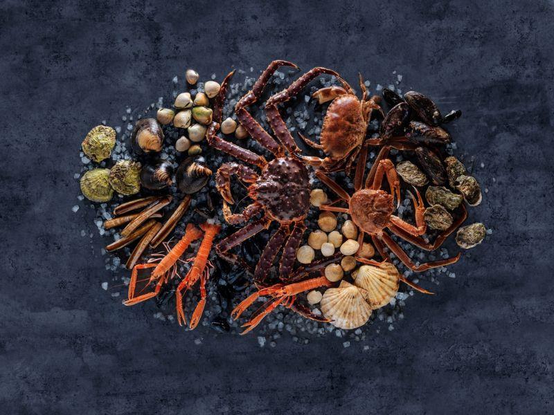 Norwegian Seafood Council Reels In New PR Agency For Japan