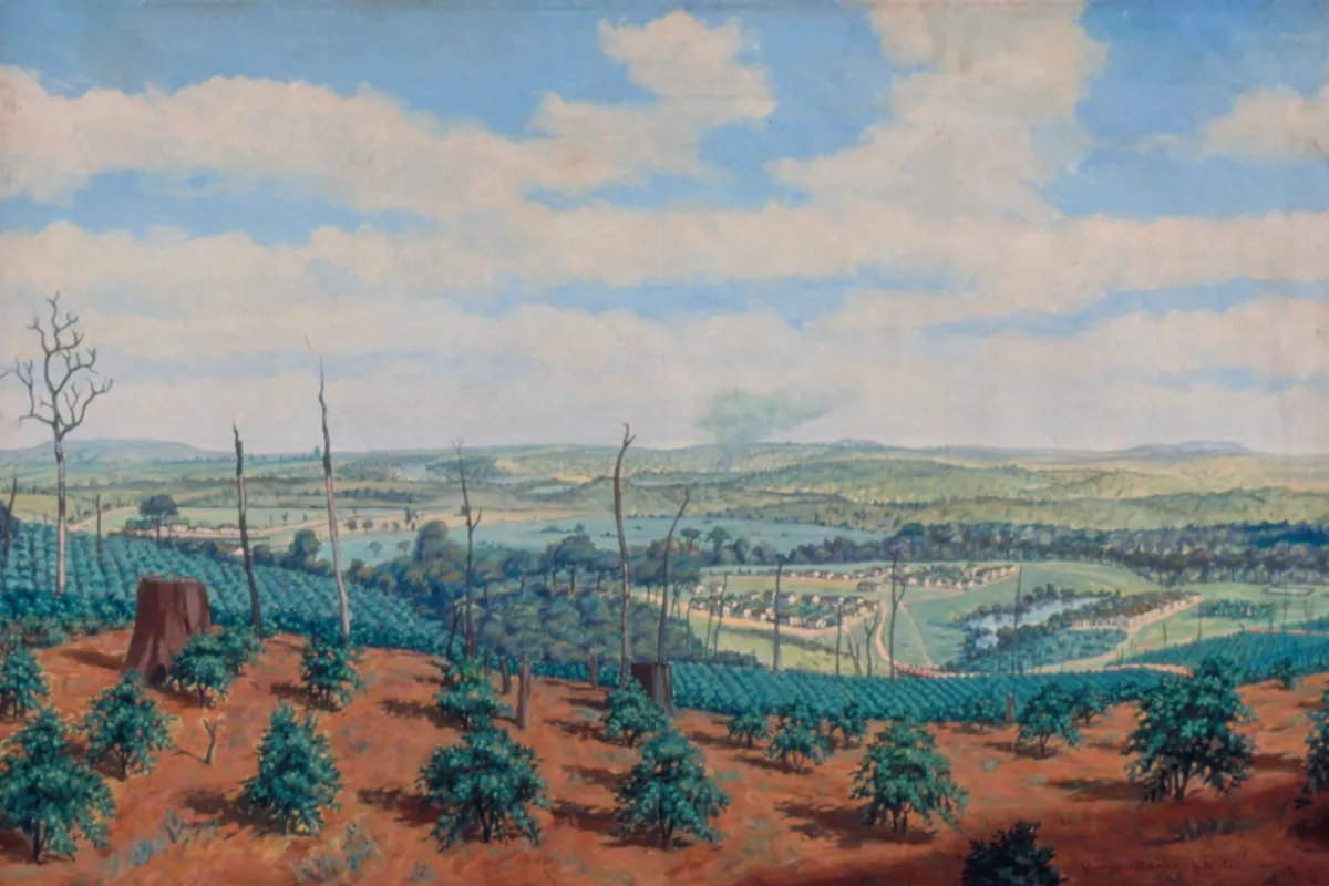 Brazil: European Immigration And Coffee Plantations