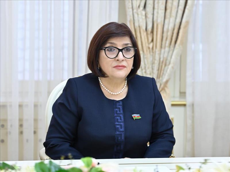 Azerbaijani And Georgian Parliaments Discuss Regional Peace Issues