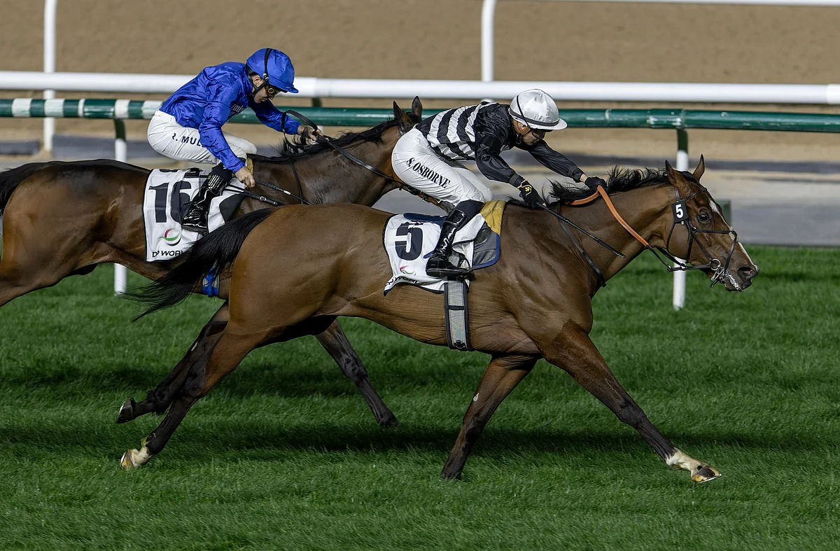 Dubai Racing Carnival Finale Sets Stage For Thrilling World Cup Anniversary