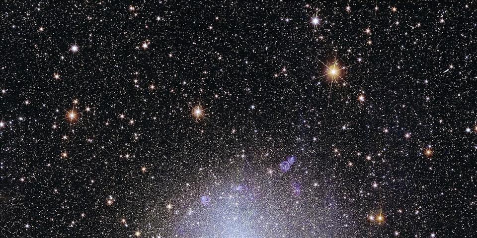 Project Hail Mary Explores Unique Forms Of Life In Space 5 Essential Reads On Searching For Aliens That Look Nothing Like Life On Earth