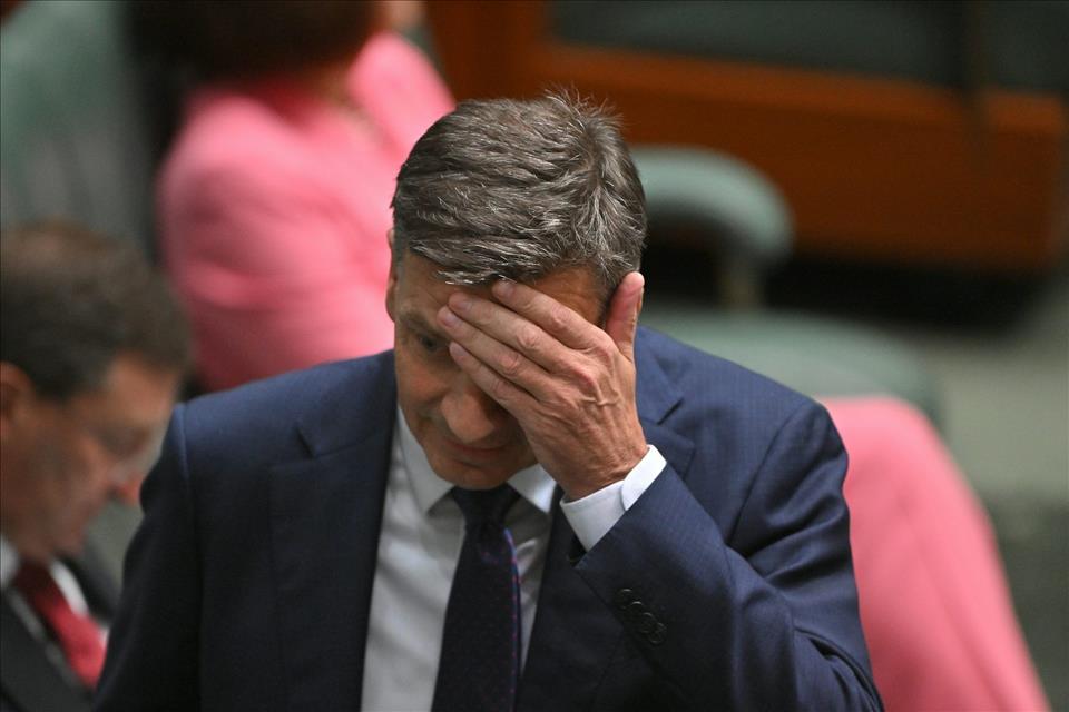 View From The Hill: One Nation's Performance In SA Will Send Shivers Down Angus Taylor's Spine For Farrer Campaign