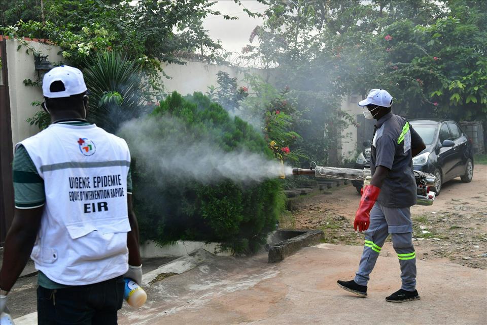 Dengue Fever Is A Growing Problem: Why It's So Hard To Beat With Vaccines