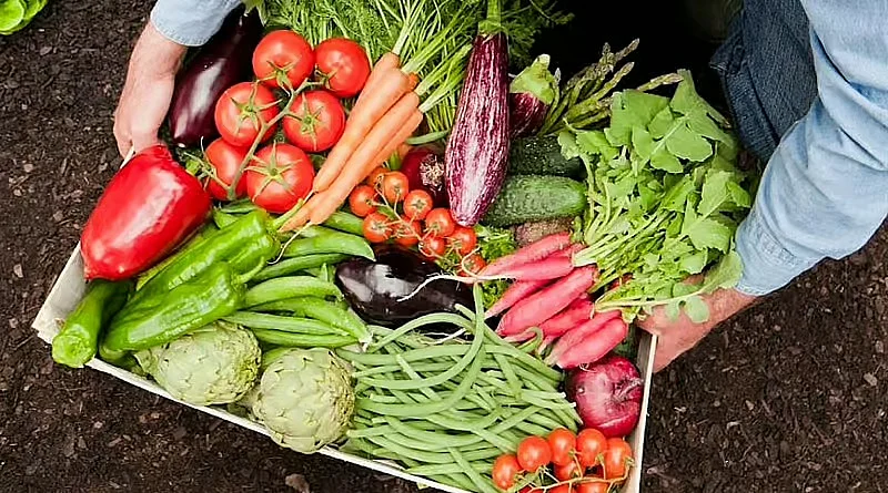 Shipping, Energy Disruptions Spike Food Prices    UAE Stays Insulated