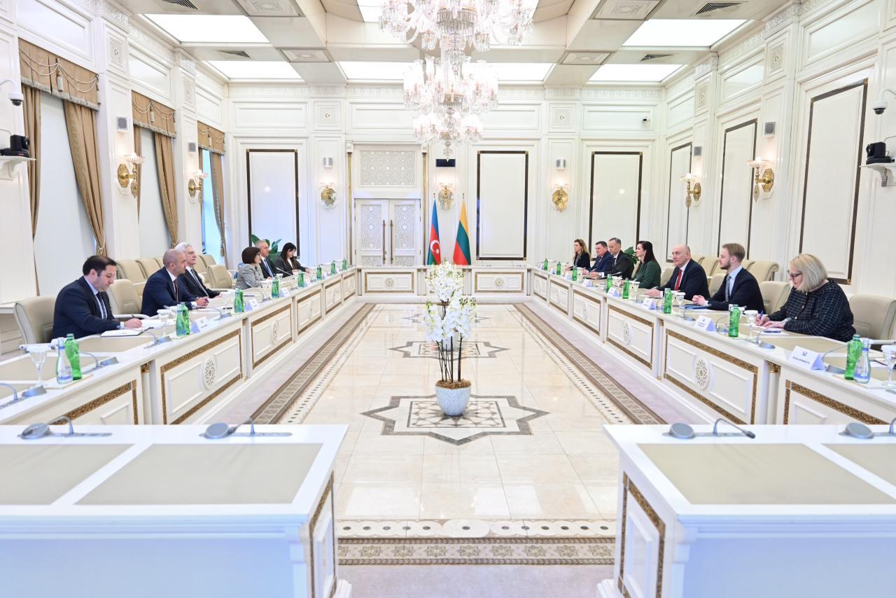 Azerbaijani And Lithuanian Parliaments Brainstorm Enhancement Of Cooperation (PHOTO)