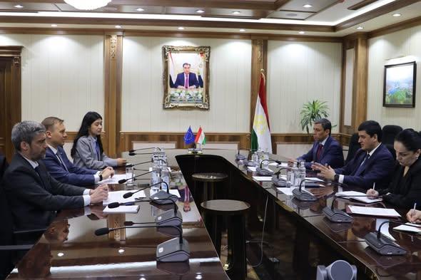 Tajikistan And EU Discuss Expanding Environmental Cooperation