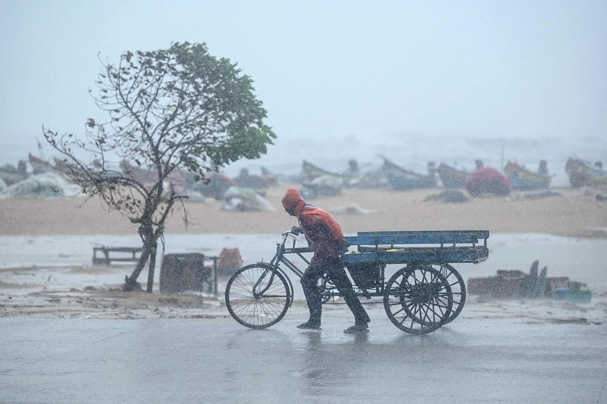 India Forecasts 'Below-Normal' Monsoon Rainfall In 2026 As El Niño ...
