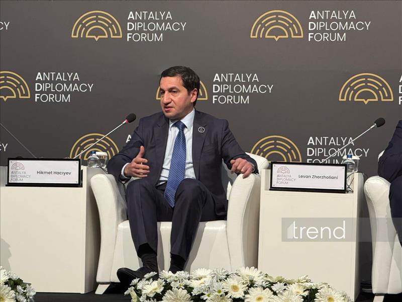 Azerbaijani Presidential Aide Calls For Avoiding New Dividing Lines In South Caucasus