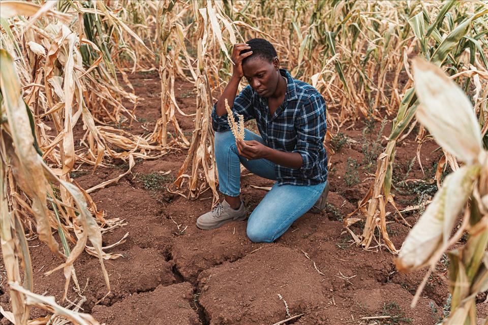 Extreme Heat Is A Growing Threat To Health, Jobs And Food Security In Southern Africa  Study Looks For Practical Solutions