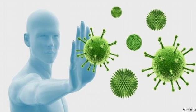 Ukraine Records Dozens Of Hantavirus Cases Each Year  Public Health Center