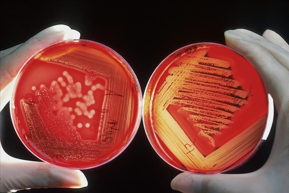 The Federal Budget Will Keep Scientific Research Alive. But It's Unlikely To Expand It