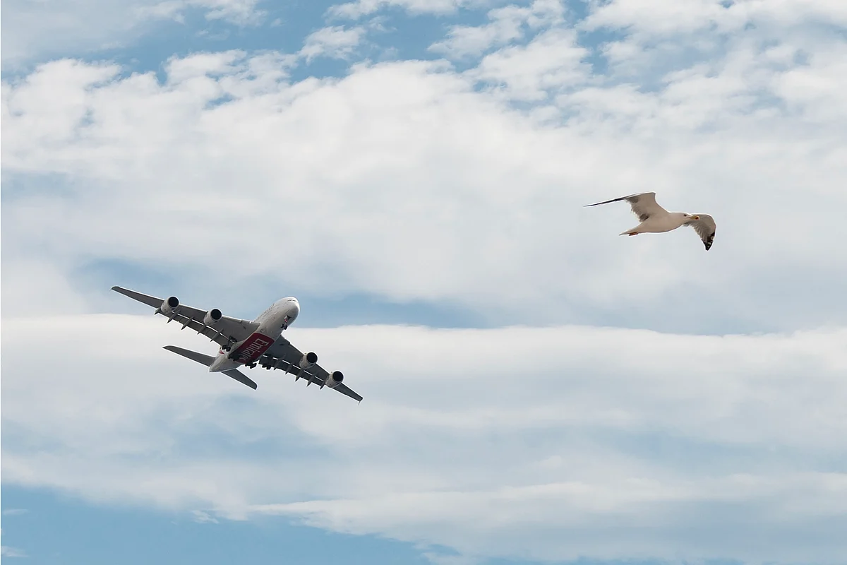 Emirates To Offer Incentives, Safety Assurances As Iran War Hits Travel