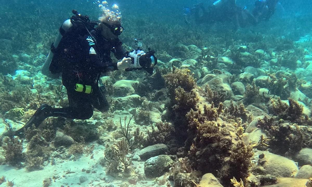 Shipwrecks Linked To The 'Golden Age Of Piracy' Discovered In The Bahamas  The Art Newspaper  International Art News And Events