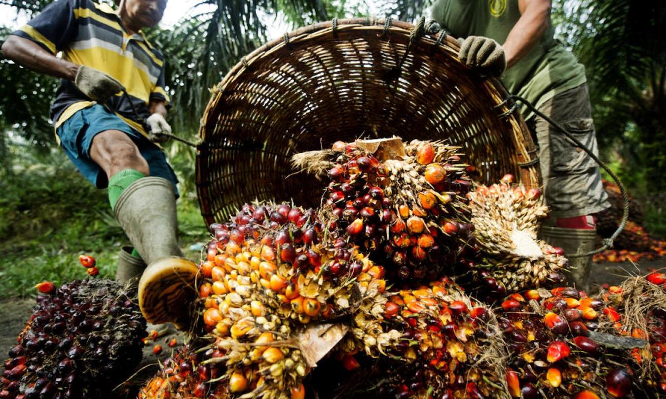 Trump's New Tariff Offensive Puts Indonesia In The Firing Line