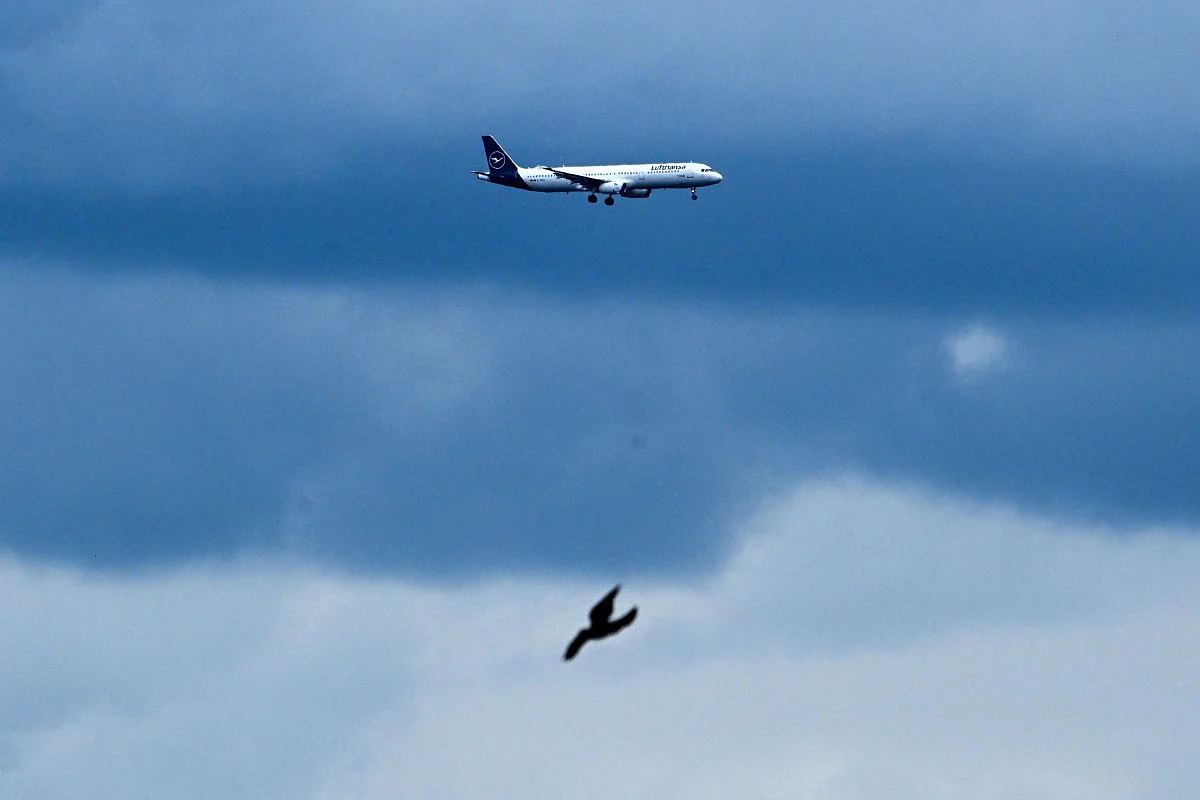 Germany's Hamburg Airport Terminal Evacuated After Security Incident