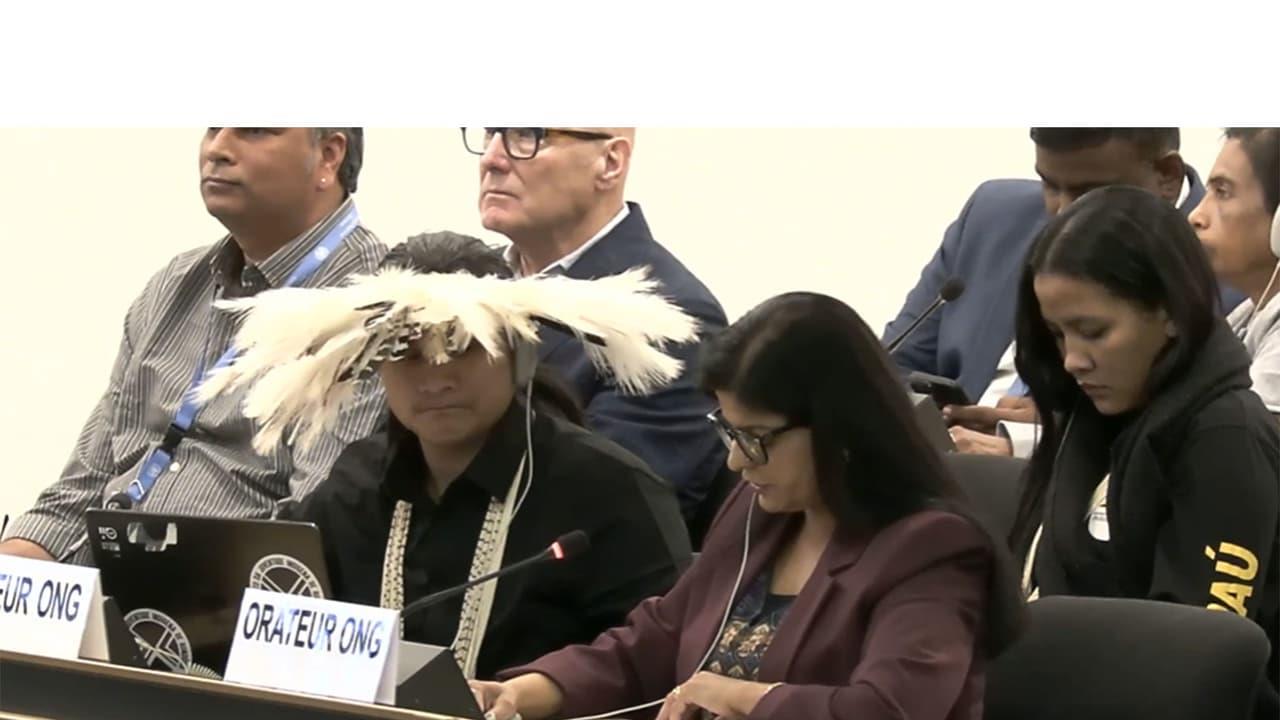 WSC Urges UNHRC To Address Concerns Over Proposed Fragmentation Of Sindh