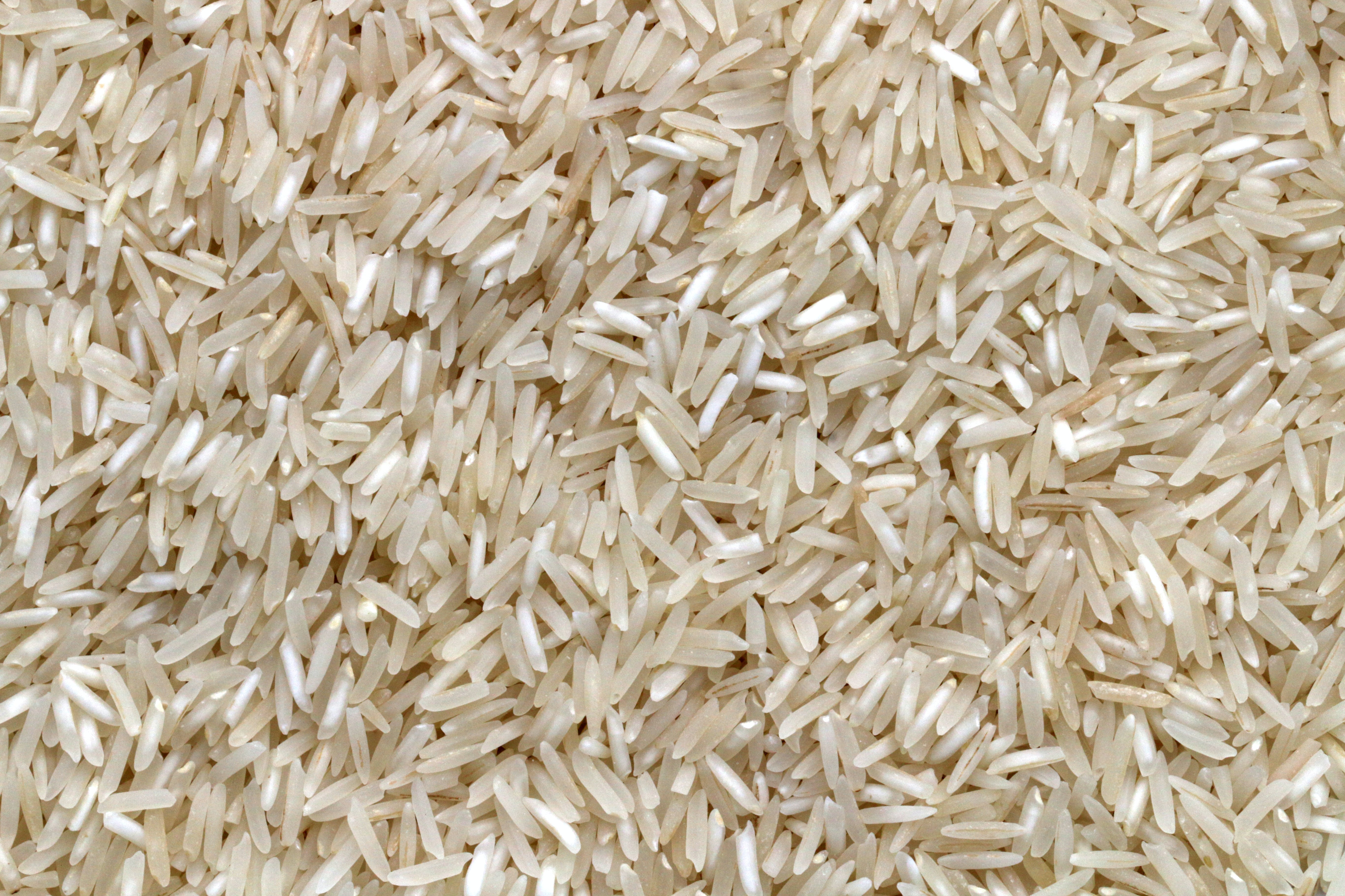Vietnam ready to increase rice exports