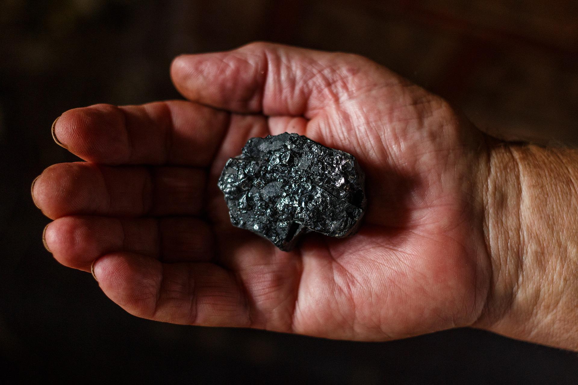 Mongolian PM: Stolen coal is worldwide problem 