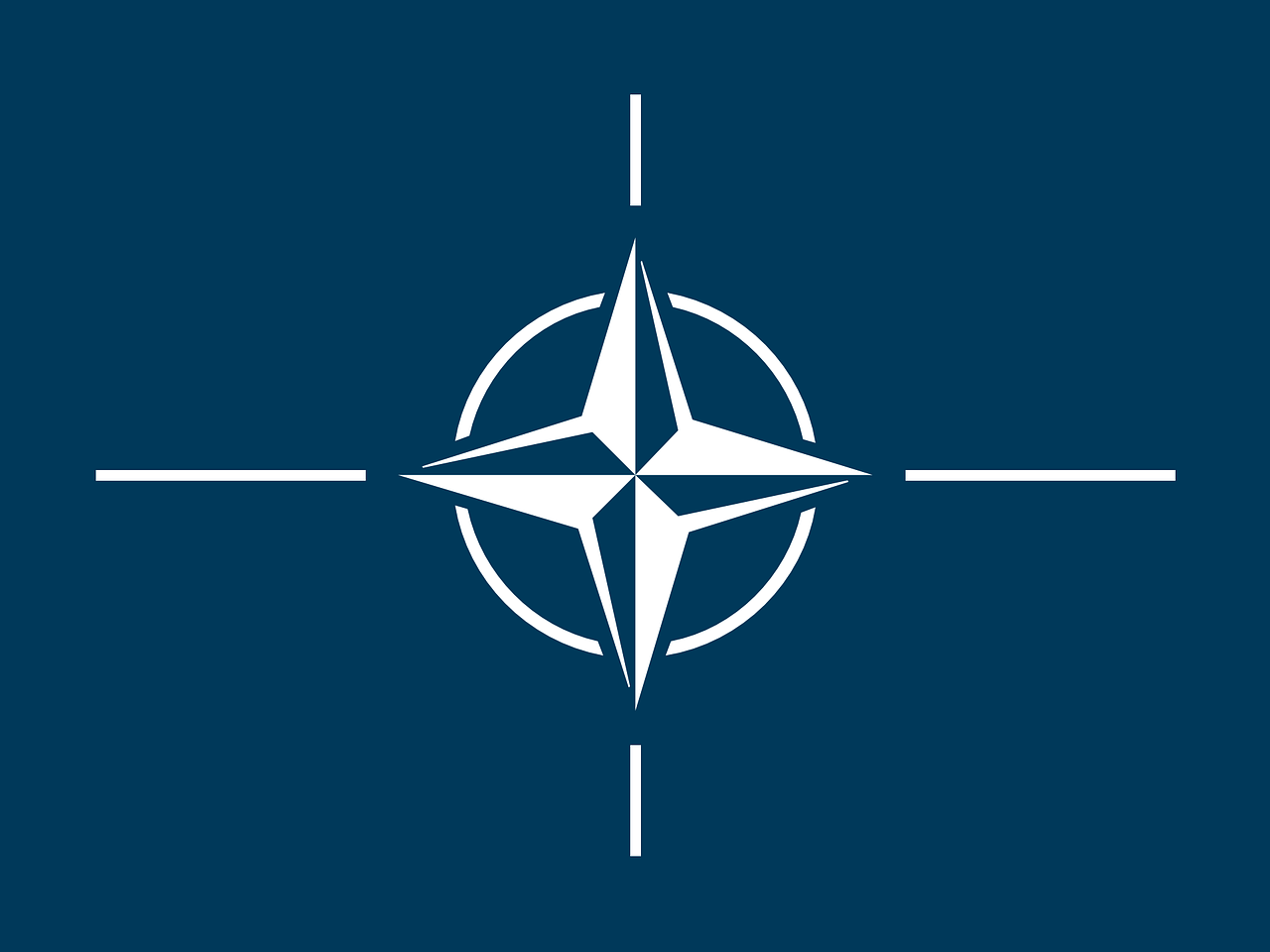 NATO leader denounces "sham" elections 