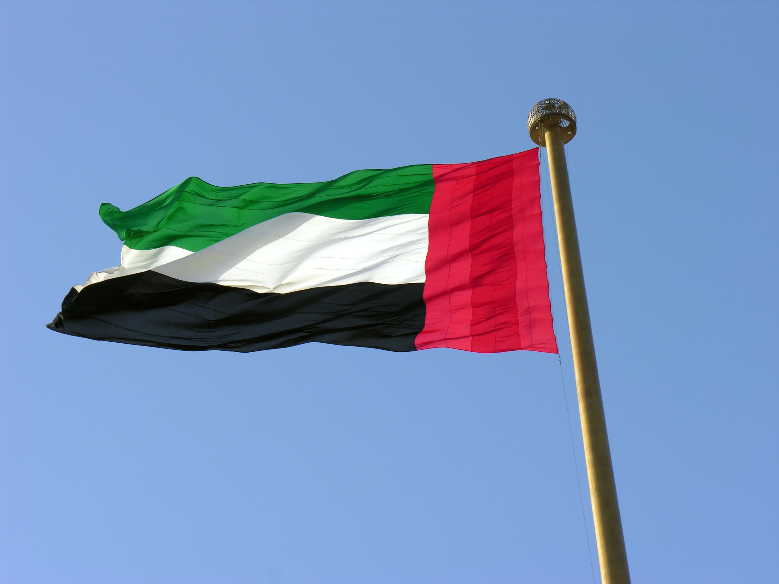 UAE, Cameroon discover chances in renewable energy, infrastructure