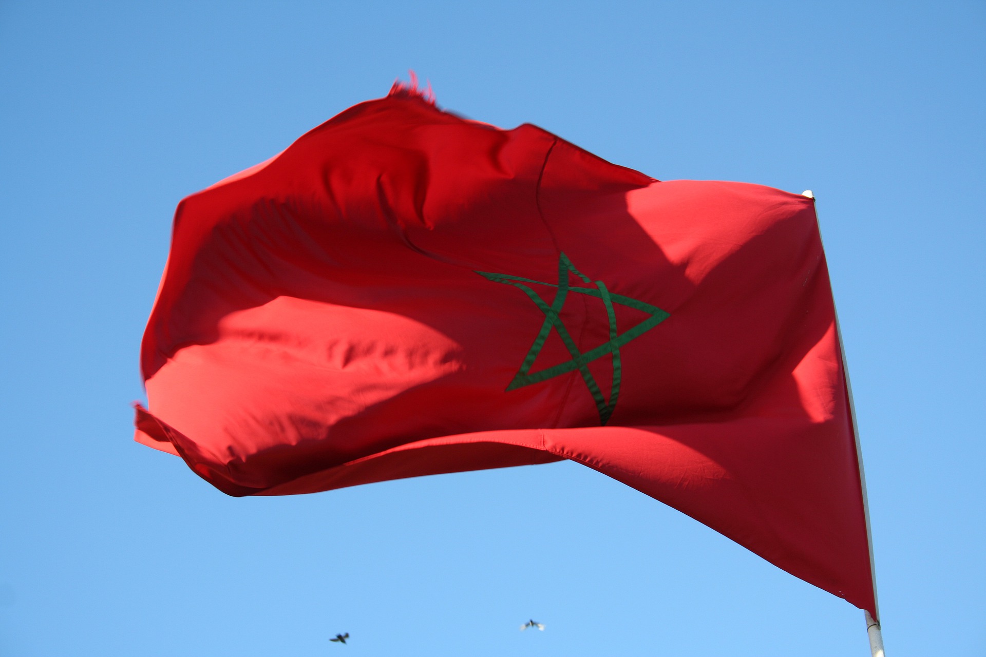 المغرب تحقق أرباح كبيرة من صادرات الفوسفات