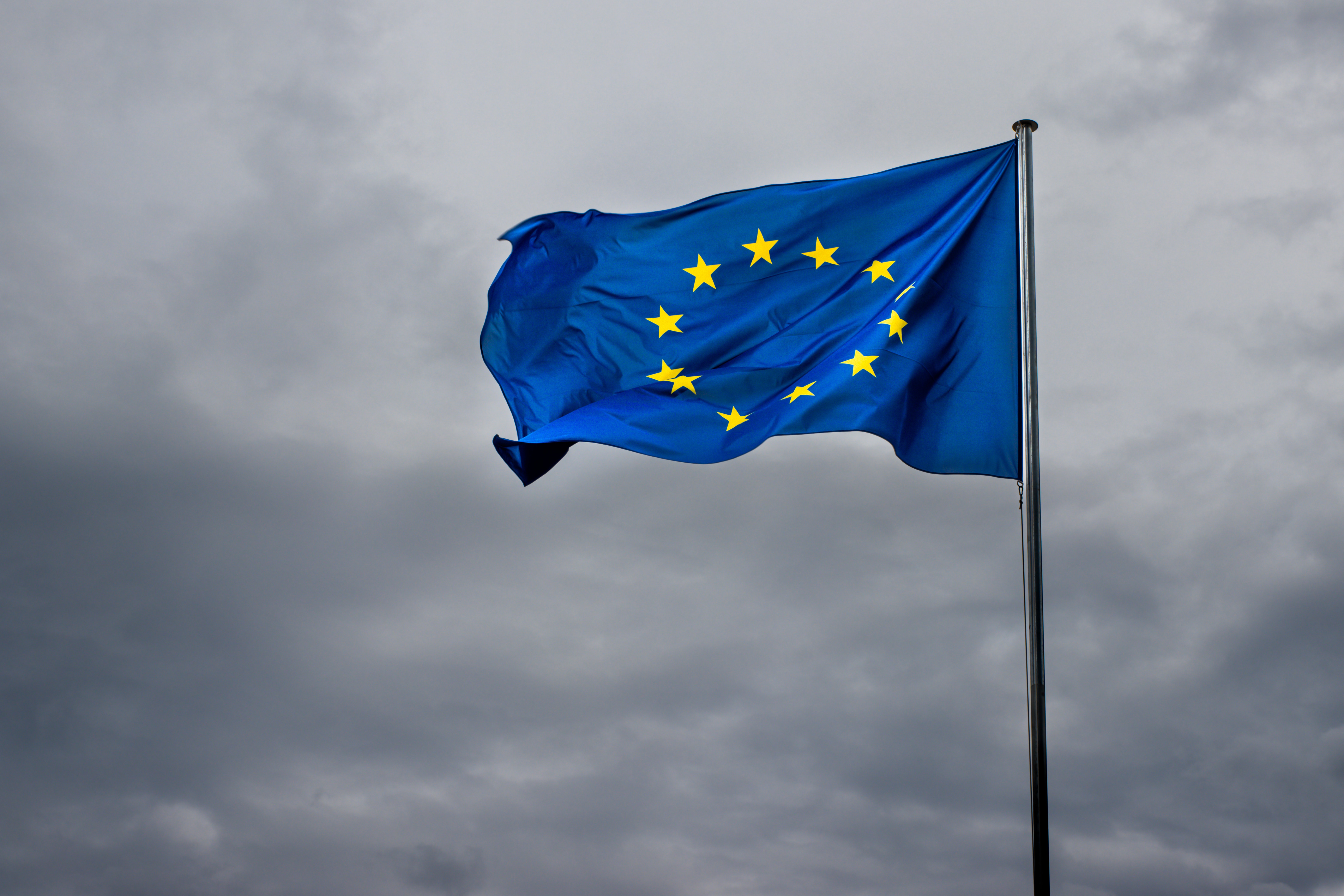 Elite EU diplomat cautions outsiders entry could ‘dissolve’ bloc