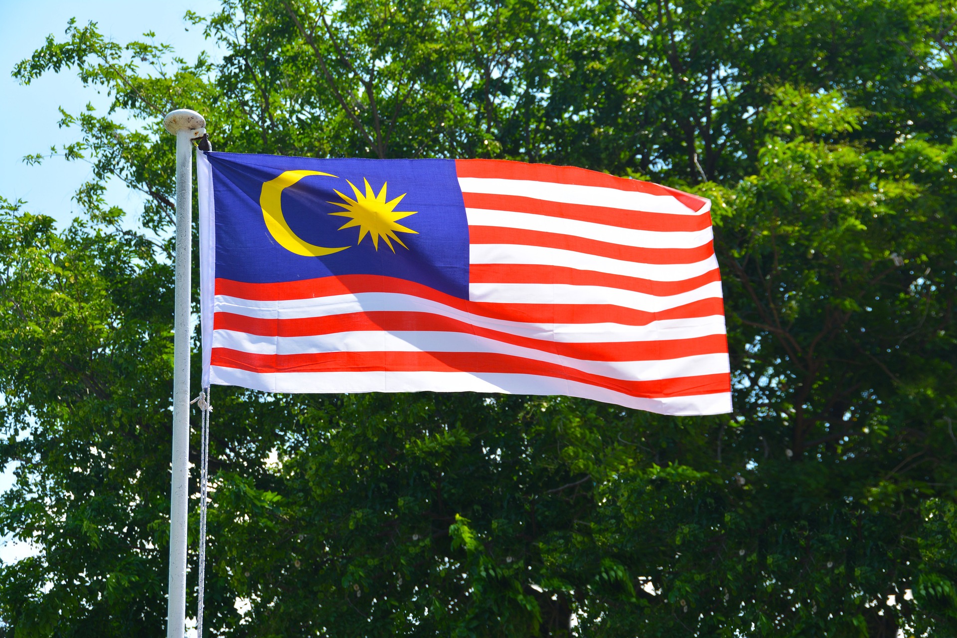 By 2050, Malaysian electric utility firm wants to be emissions-free